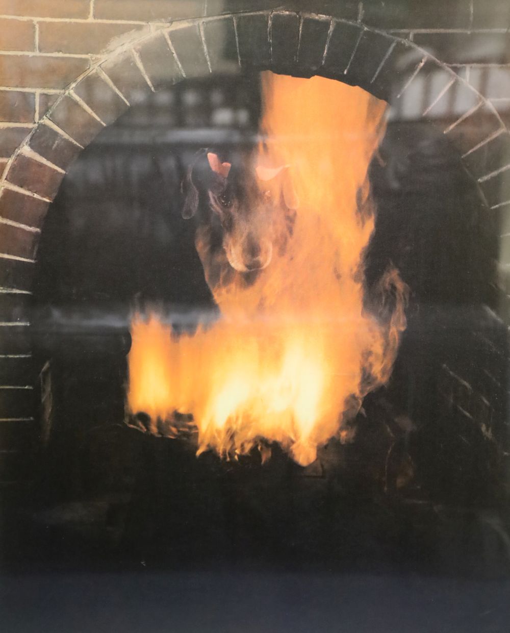 William Wegman (1943-), photographic silk screen, Dog in a fire place, signed and dated 1988, 48/96, 74 x 58cm